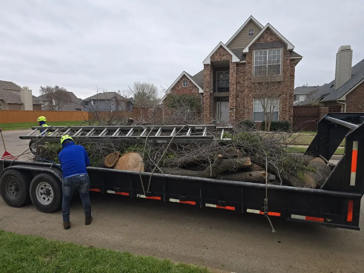 Expert Tree Pest Control with proper safety equipment in Rock Hall
